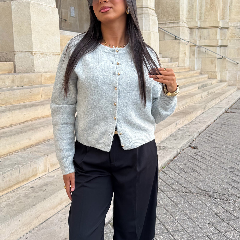 Cardigan Chloé gris clair